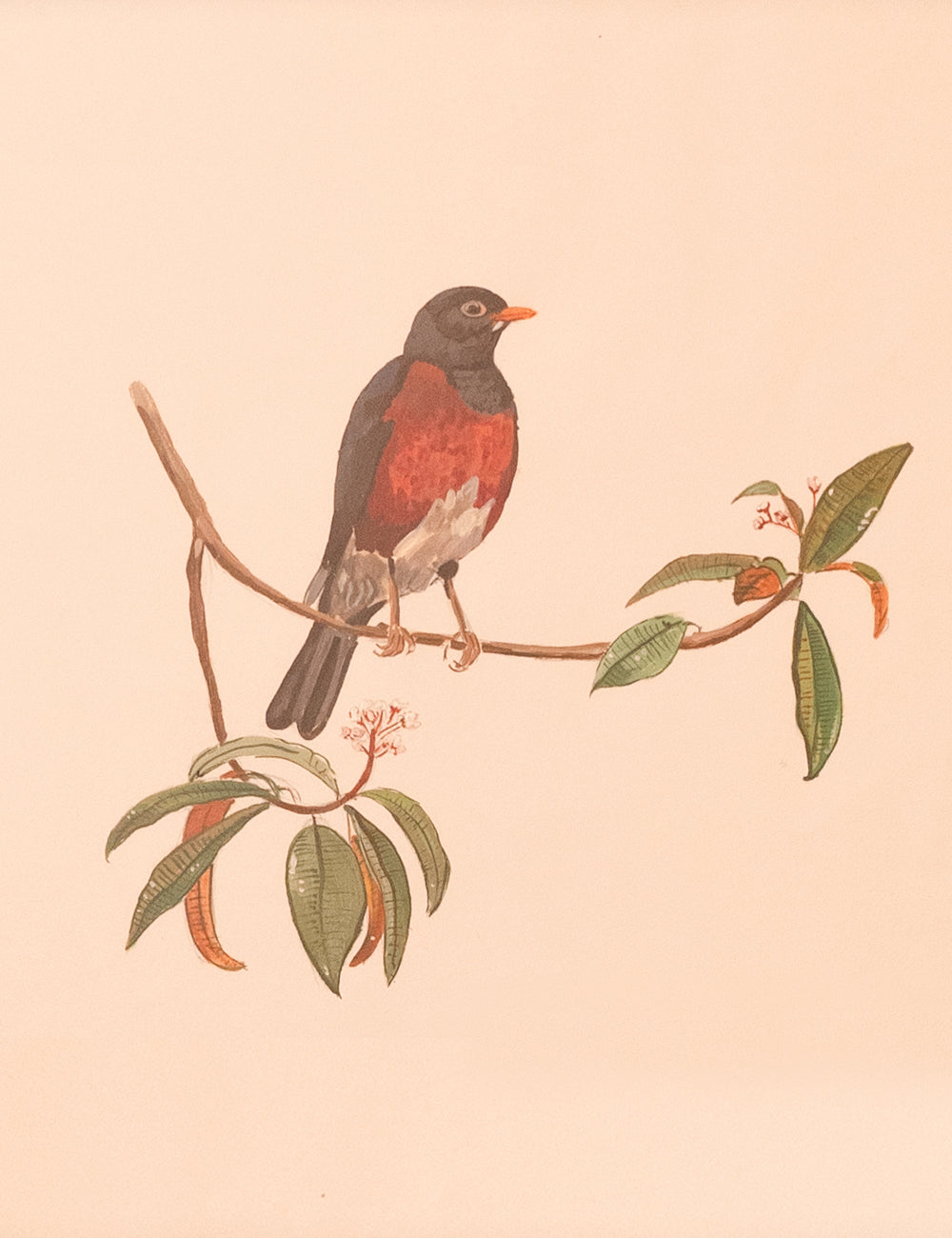 Hand-Painted Robin's Perch