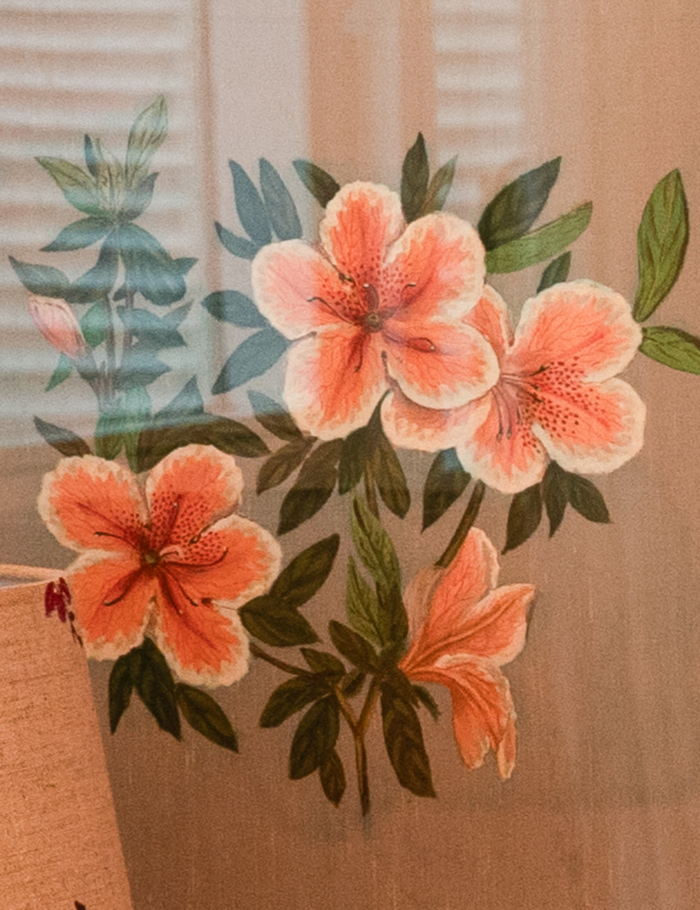 Hand-Painted Hibiscus Bloom