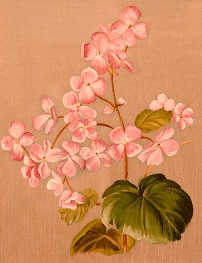 Hand-Painted Begonia Blossoms