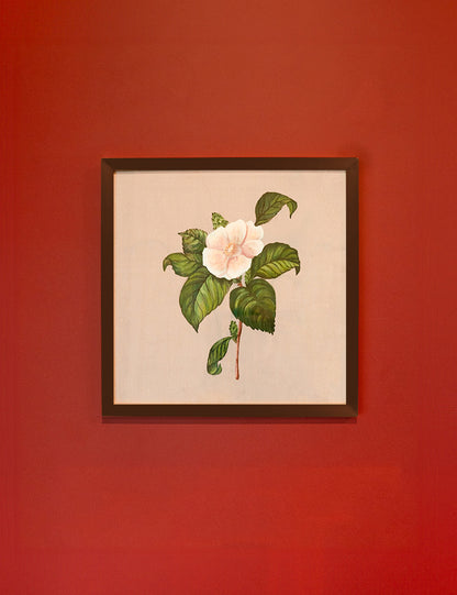 Hand Painted Camellia Grace